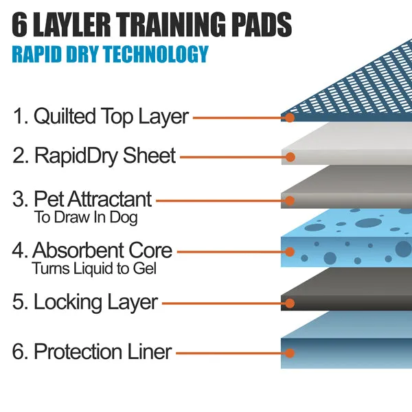 BV Pet Disposable Potty Training Pee Pads - Dog and Puppy, 28" x 34", 20-Count
