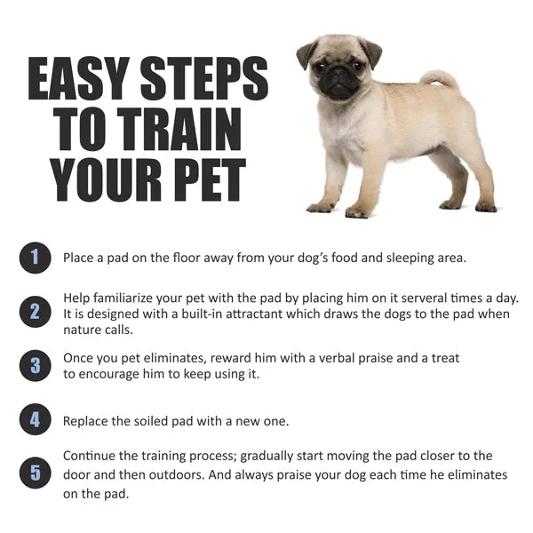 BV Pet Disposable Potty Training Pee Pads - Dog and Puppy, 28" x 34", 20-Count