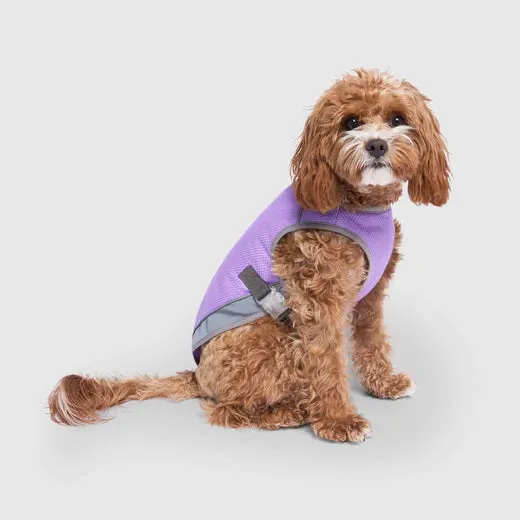 Canada Pooch Chill Seeker Cooling Vest Wet Reveal