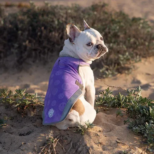 Canada Pooch Chill Seeker Cooling Vest Wet Reveal