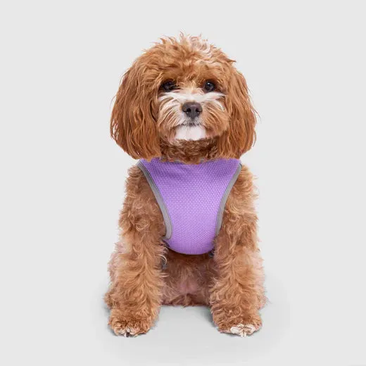 Canada Pooch Chill Seeker Cooling Vest Wet Reveal