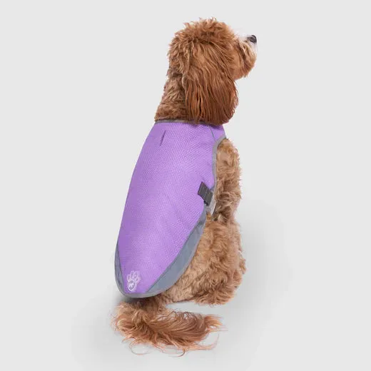 Canada Pooch Chill Seeker Cooling Vest Wet Reveal