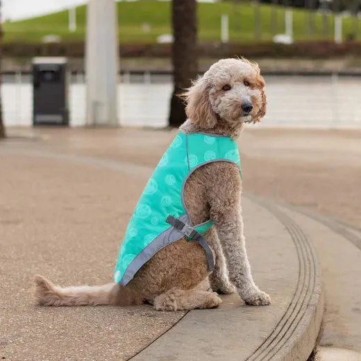 Canada Pooch Chill Seeker Cooling Vest Wet Reveal
