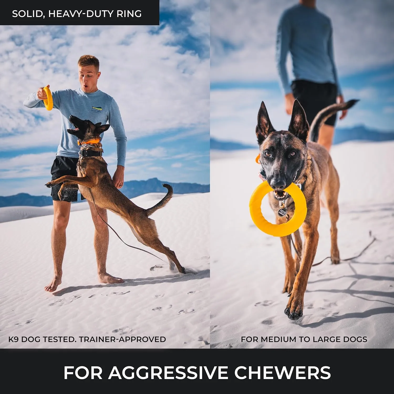 Chew Ring & Fetch Ball Combo for Aggressive Chewers | Heavy-Duty, Ultra-Durable Natural Rubber, Tough Dog Toys for Medium to Large Breeds