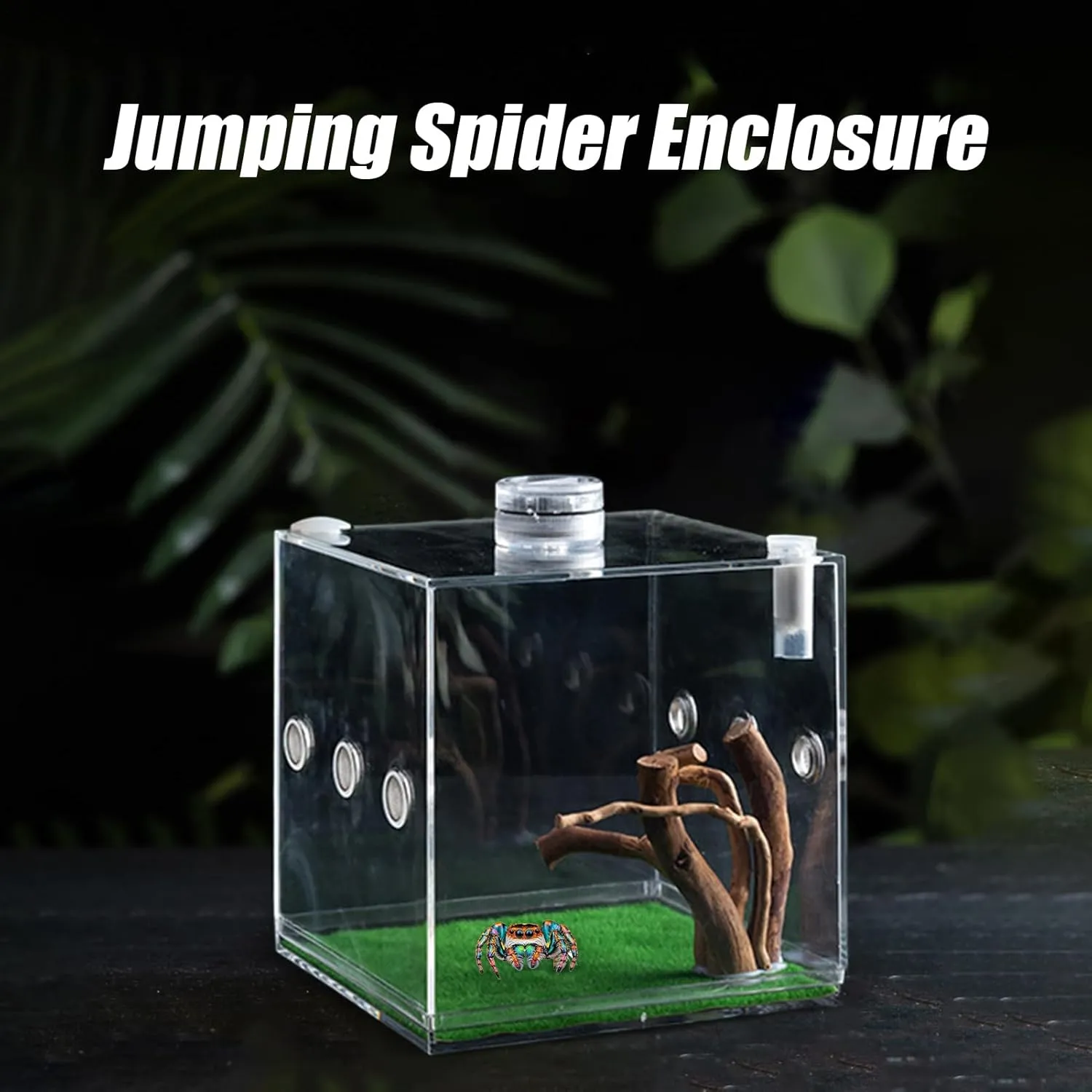 Clear Reptile Cage - Premium Jumping Spider Enclosure with Ventilation | Lightweight Breeding Box for Small Animals: Turtles, Beetles, Snails & Lizards, Escape-Proof Terrarium with Secure Locking Lid