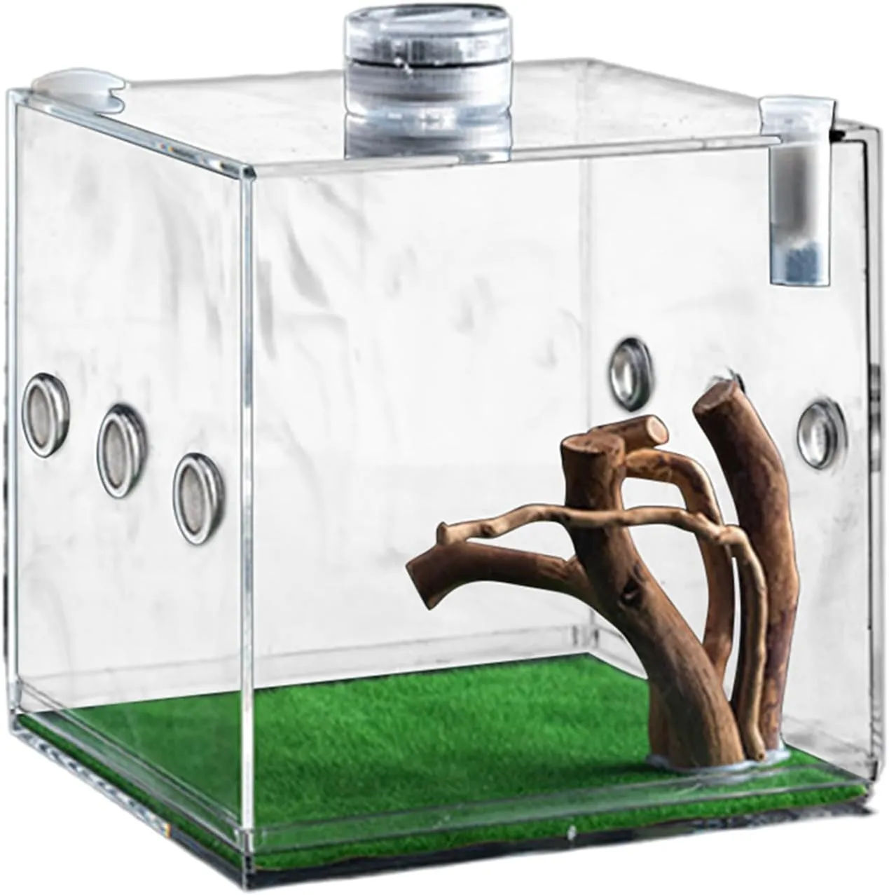 Clear Reptile Cage - Premium Jumping Spider Enclosure with Ventilation | Lightweight Breeding Box for Small Animals: Turtles, Beetles, Snails & Lizards, Escape-Proof Terrarium with Secure Locking Lid