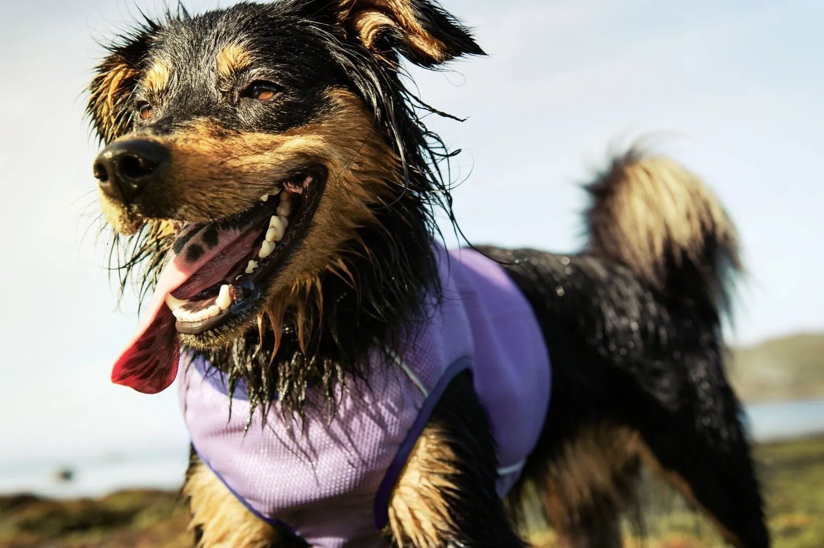 Cooling Vest