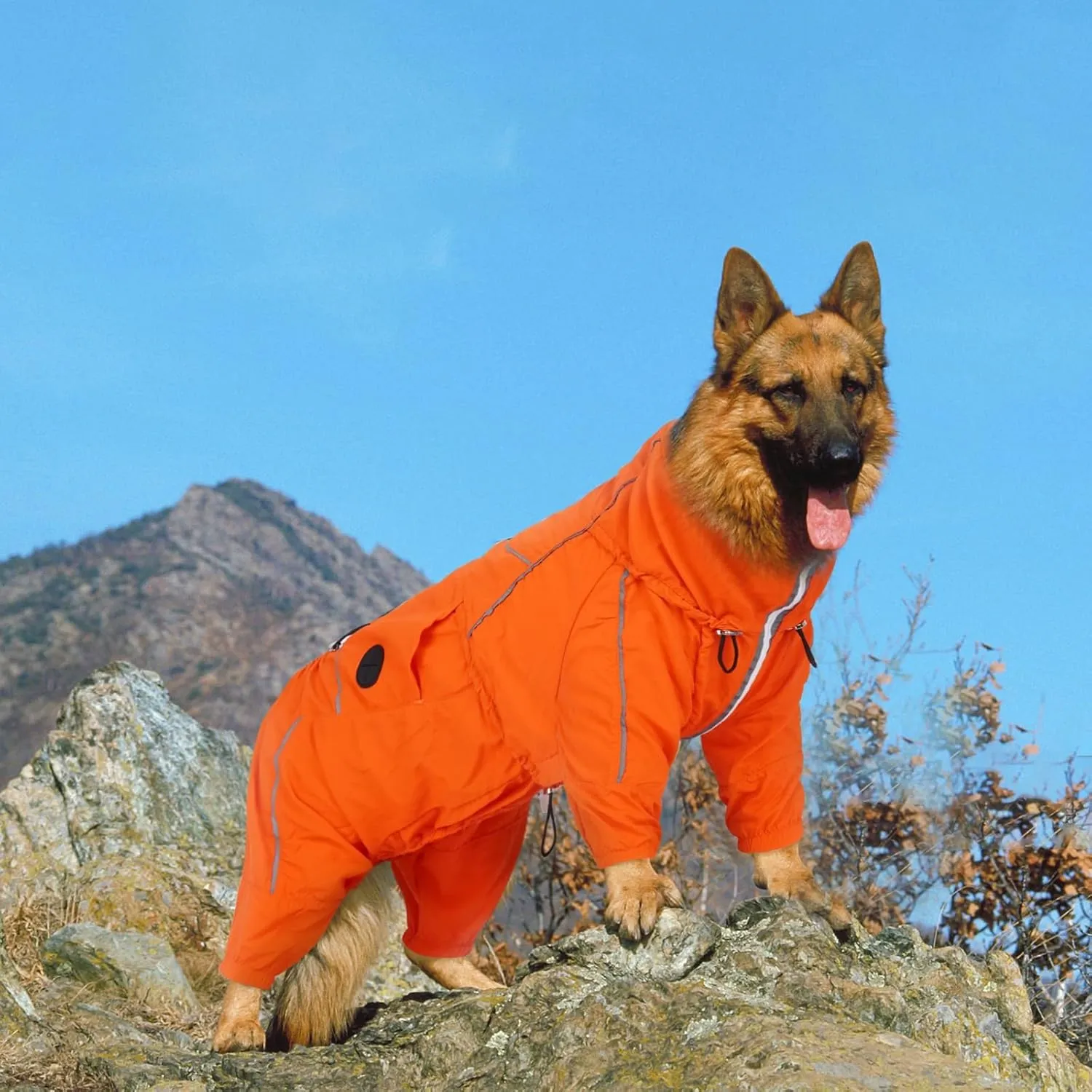 Dora Bridal Windproof Dog Jacket, Lightweight Water Resistant Dog Rain Coat, Adjustable Four-Legged Reflective Dogs Raincoat, Anti-Static Dogs Windbreaker for Hiking Waking(Orange, 4XL)