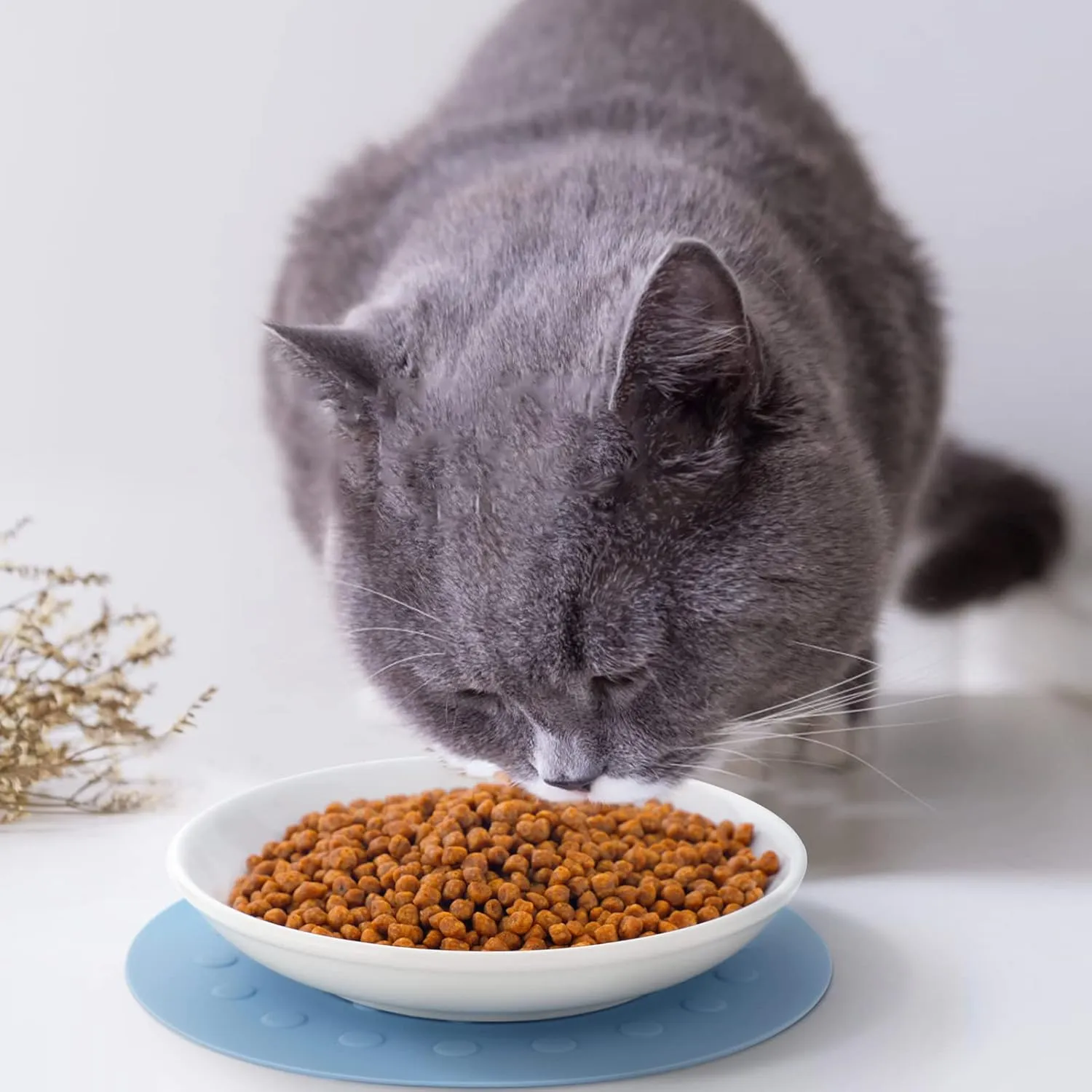 Dorakitten Ceramic Cat Food Plates for Wet Food, Wide Bowls to Stress Relief of Whisker Fatigue Cat Dishes, Shallow Bowls for Kittens and Small Animals with Non-Slip Mat
