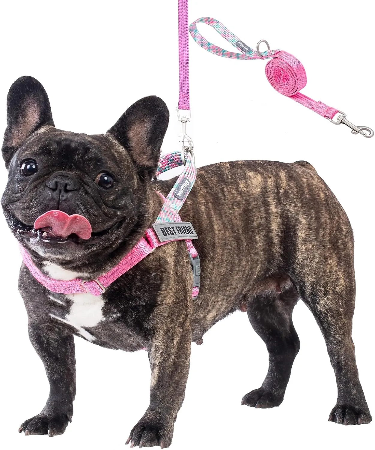 Easy Walk Dog Harness and Leash Set, Freedom No Pull Harness with 2 Patches,Escape Proof/Quick Fit to Adjust Dog Vest Harness,Easy for Training Walking for Small,Medium & Large Dogs(Pink,XS)