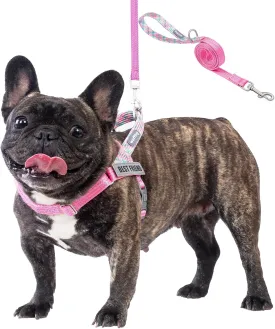 Easy Walk Dog Harness and Leash Set, Freedom No Pull Harness with 2 Patches,Escape Proof/Quick Fit to Adjust Dog Vest Harness,Easy for Training Walking for Small,Medium & Large Dogs(Pink,XS)