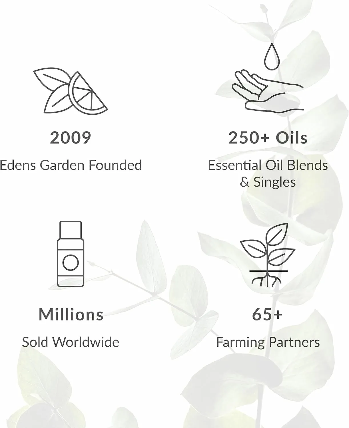 Edens Garden Catnip Essential Oil, 100% Pure Therapeutic Grade (Undiluted Natural/Homeopathic Aromatherapy Scented Essential Oil Singles) 10 ml