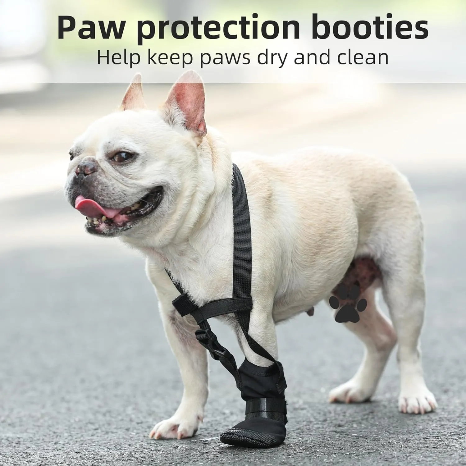 ETIAL Dog Recovery Boot, Windproof Dog Bootie with Adjustable Neck Strap, Anti Slip Dog Shoe to Prevent Licking Paws, Breathable Dog Paw Protector for Outdoor & Indoor Walking (XL)