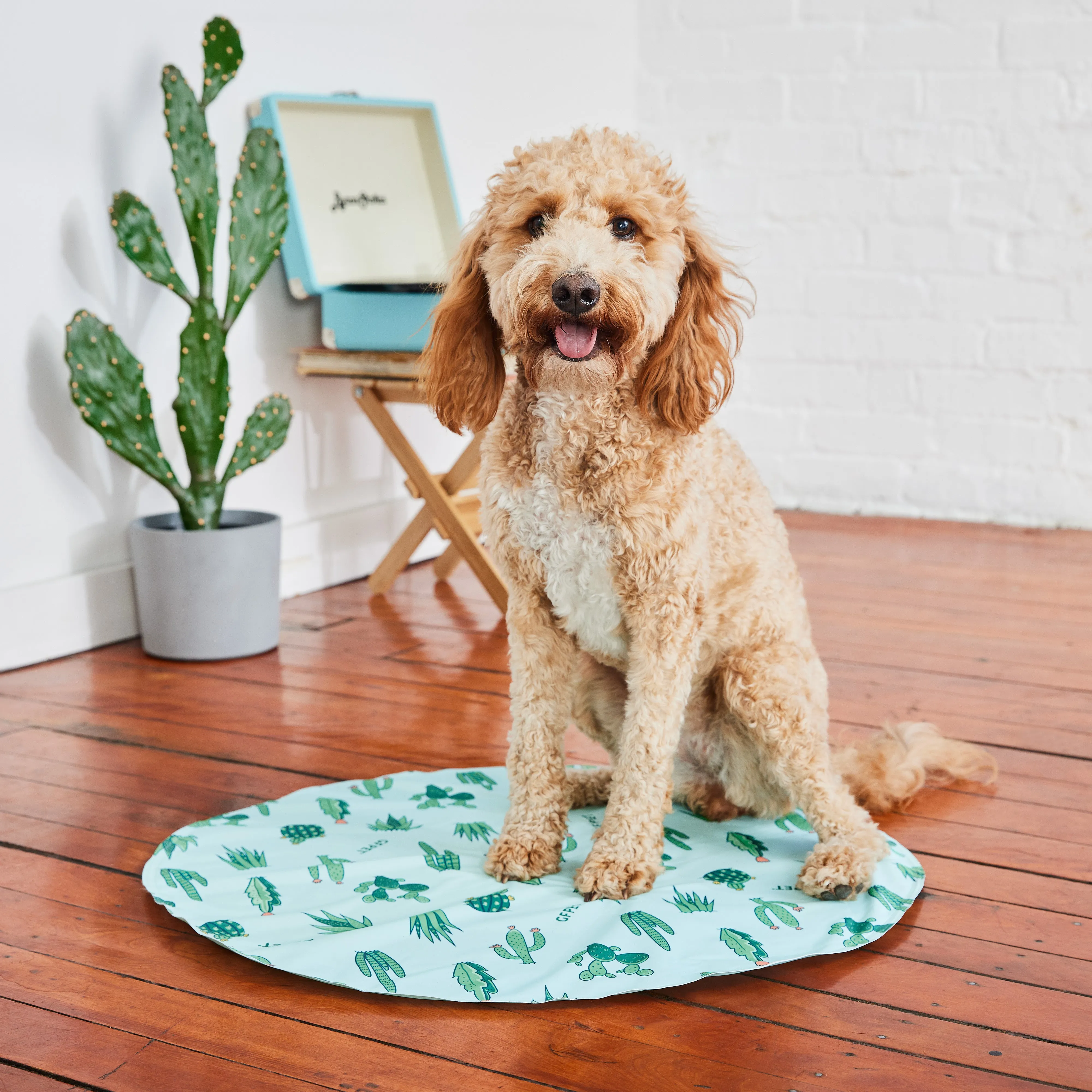 GF Pet Ice Mat