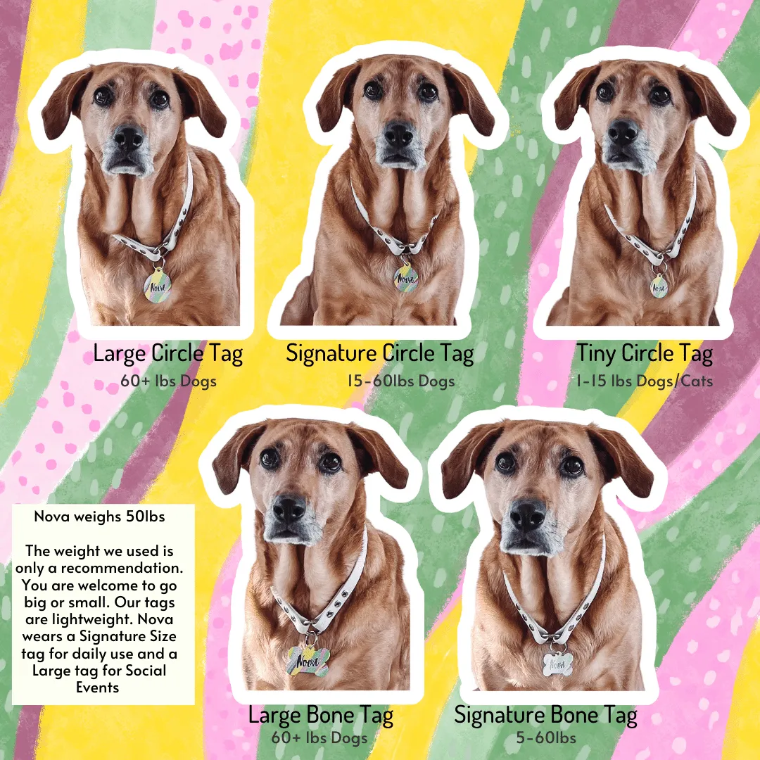 Harmony Garden Circle Pet Tag