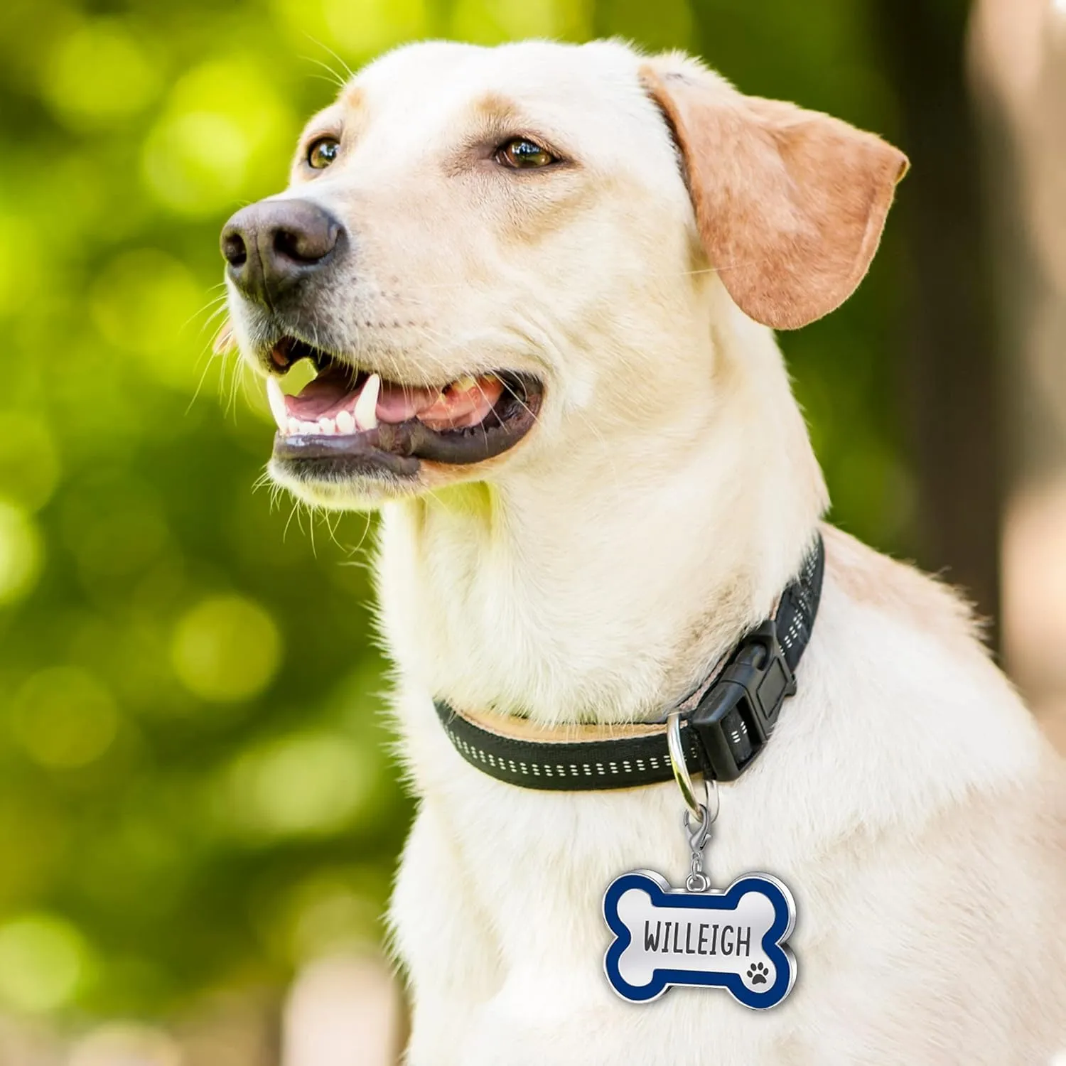 Personalized Dog and Cat Tags - Engraved Bone Shape Collar Pendants Custom Pet Supplies - Engrave Name, Number - Royal Blue