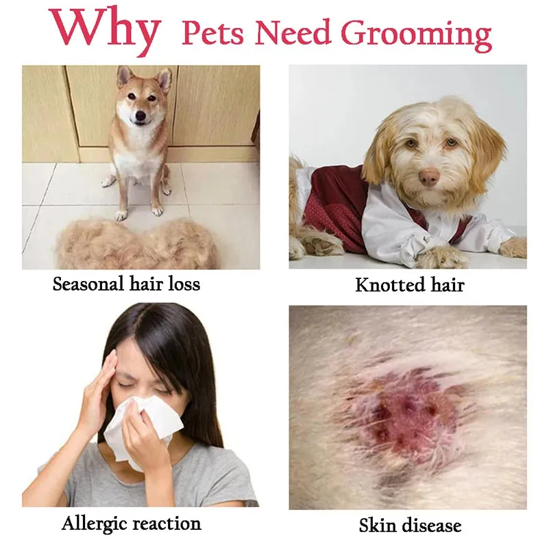 Pet Deshedding Brush Dog Hair Remover