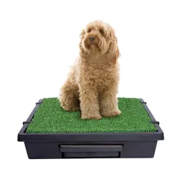 PetSafe Pet Loo Pet Toilet