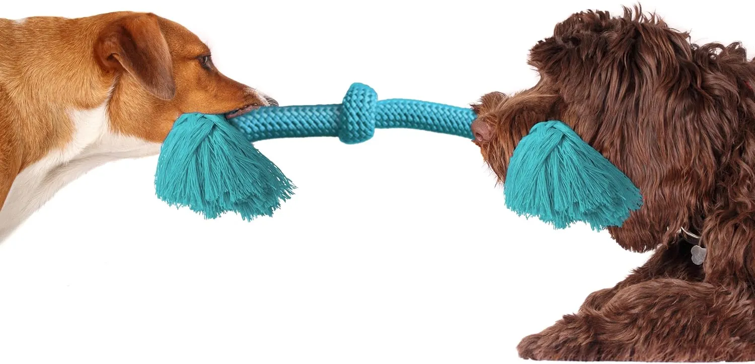 Playology Dri Tech Rope Dog Chew Toy for Large to X-Large Dogs 50lbs & up | Engaging, All-Natural Peanut Butter Scented Blue Toy for Tough Chewers | Easy to Clean | Interactive and Non-Toxic