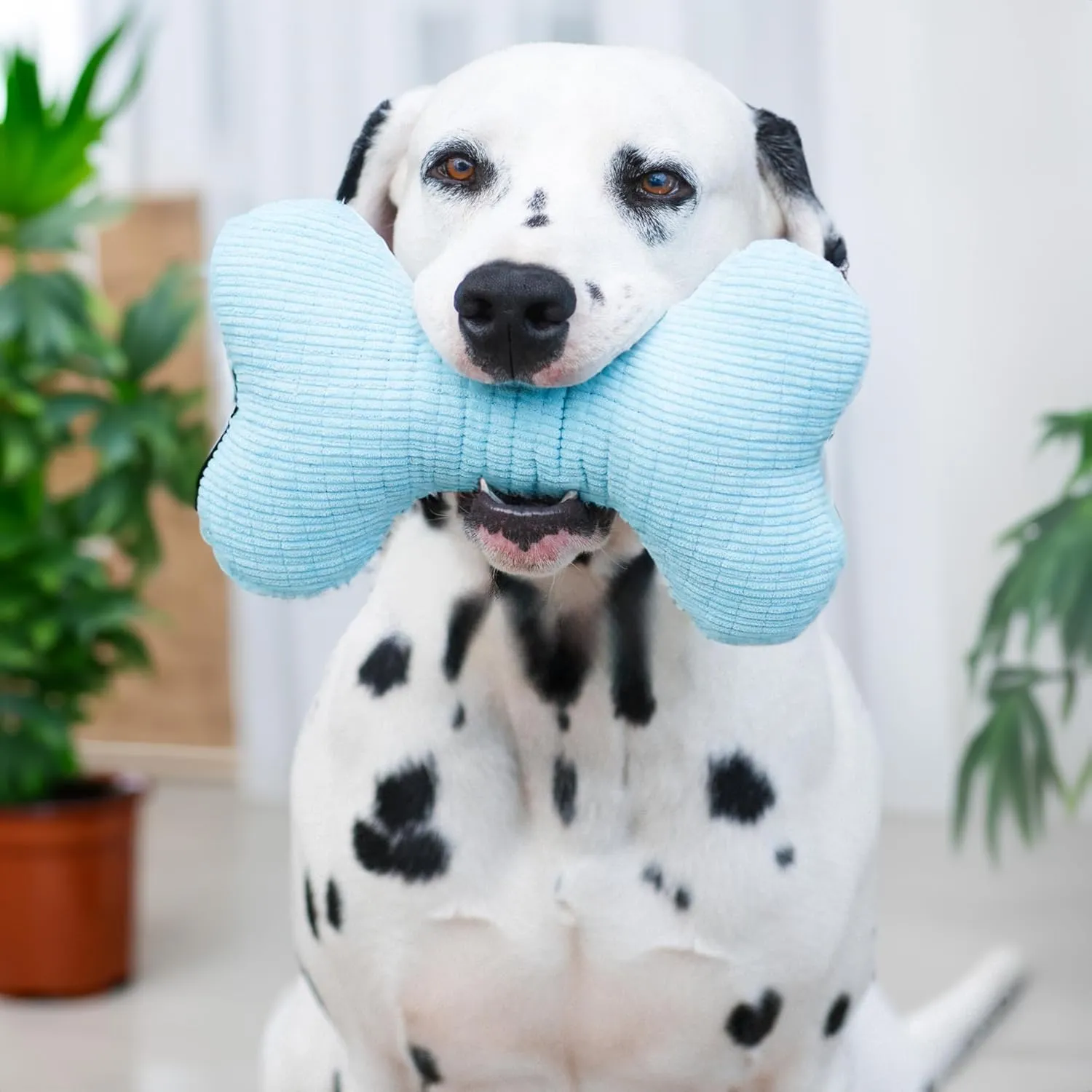 Playology Plush Squeaky Bone | Engaging All Natural Peanut Butter Scented Plush Dog Toy with Interactive Squeaker for Medium Dogs up to 50lbs | Easy to Clean | Squeak, Chew, Fetch, and Play
