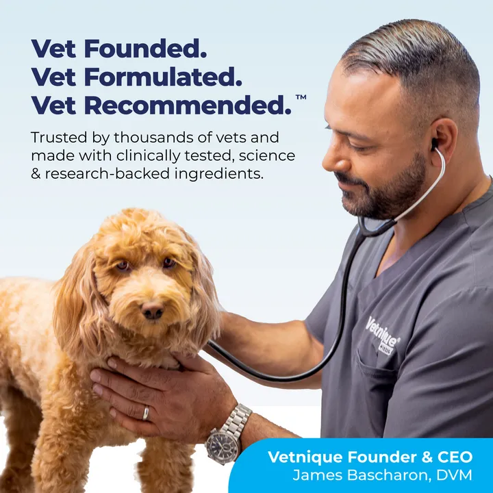 Profivex® Five Strain Probiotics Powder for Dogs & Cats