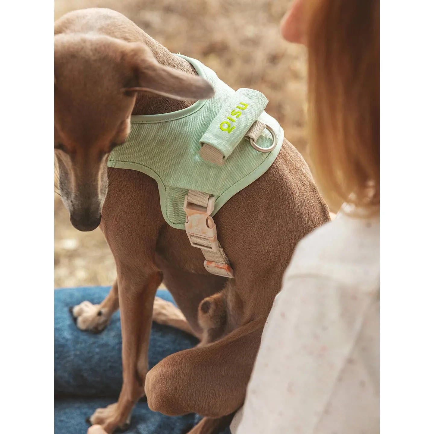 Qisu | Hug Dog Harness - Light Pink
