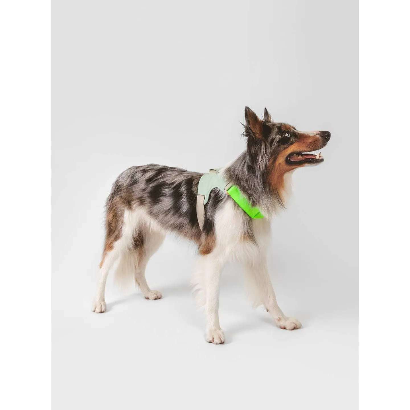 Qisu | Hug Dog Harness - Light Pink