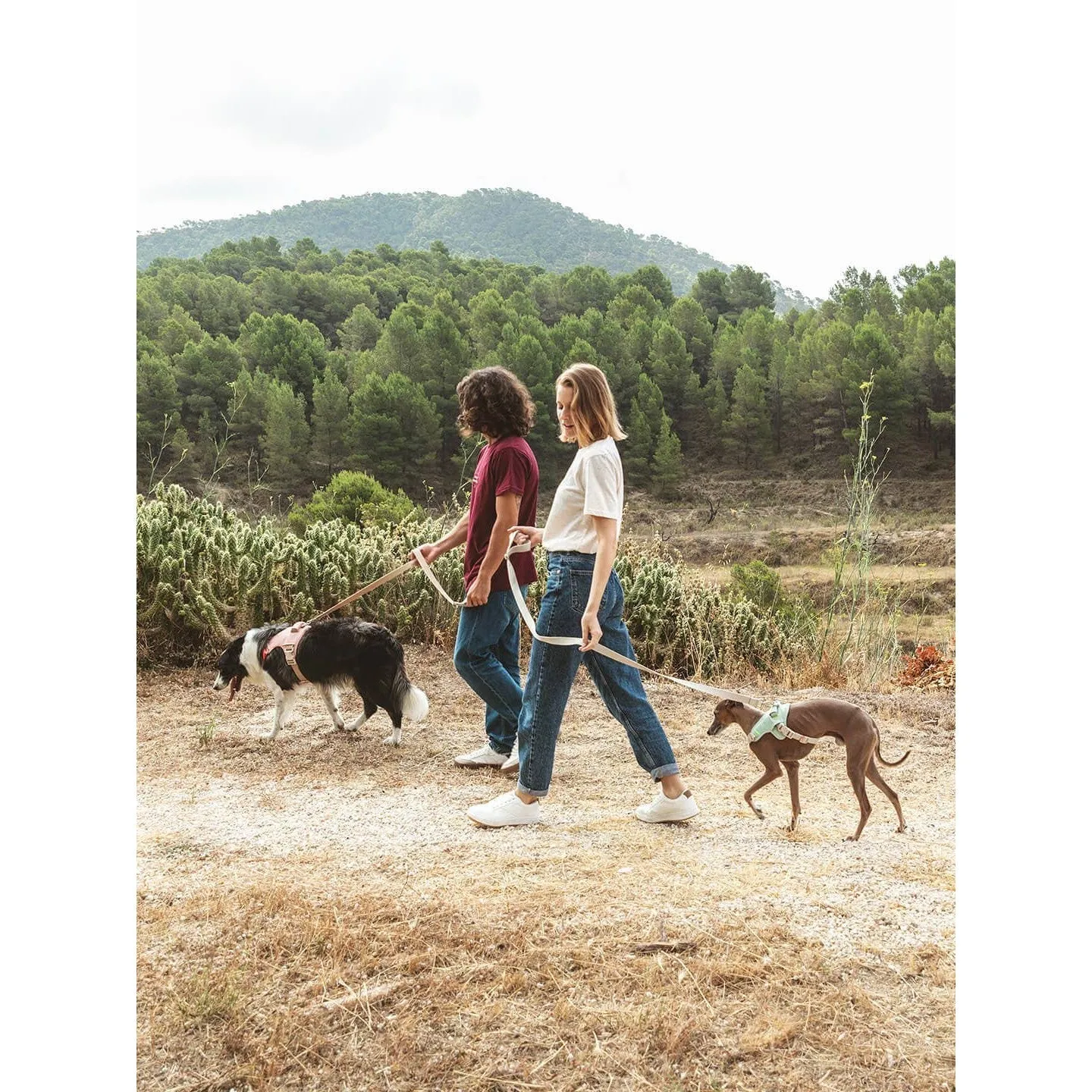 Qisu | Hug Dog Harness - Light Pink