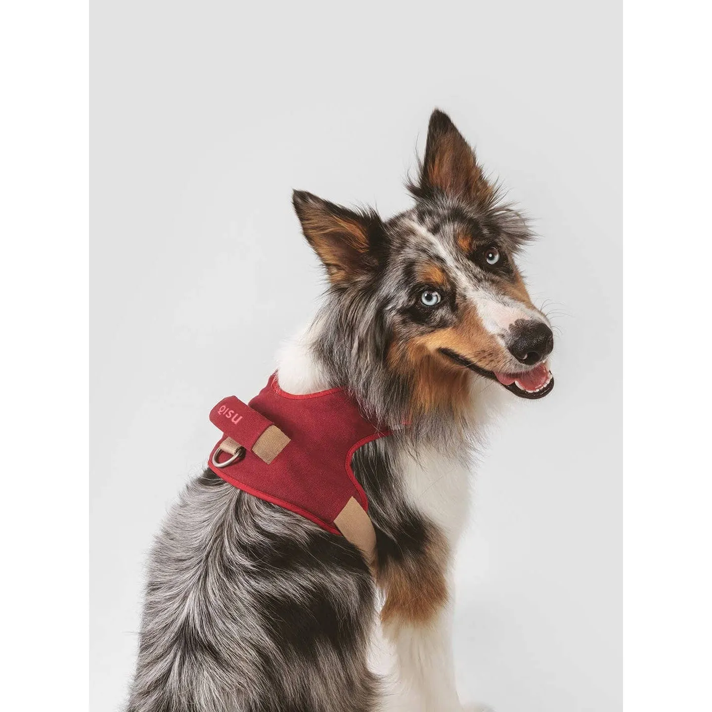 Qisu | Hug Dog Harness - Light Pink