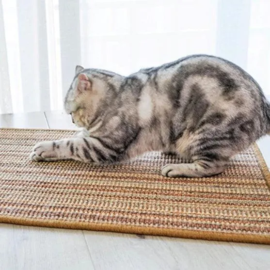 Sofa Cover Cat Scratching Guard