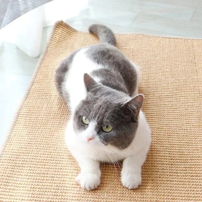 Sofa Cover Cat Scratching Guard
