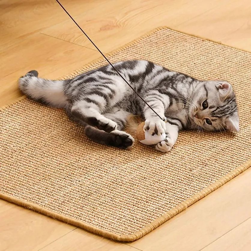 Sofa Cover Cat Scratching Guard