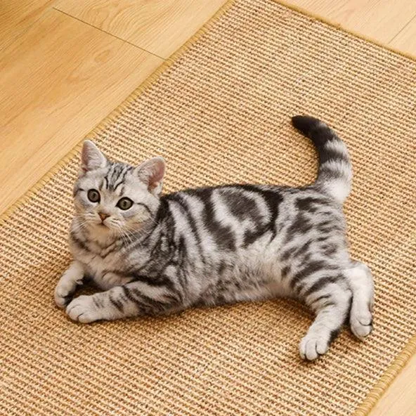 Sofa Cover Cat Scratching Guard