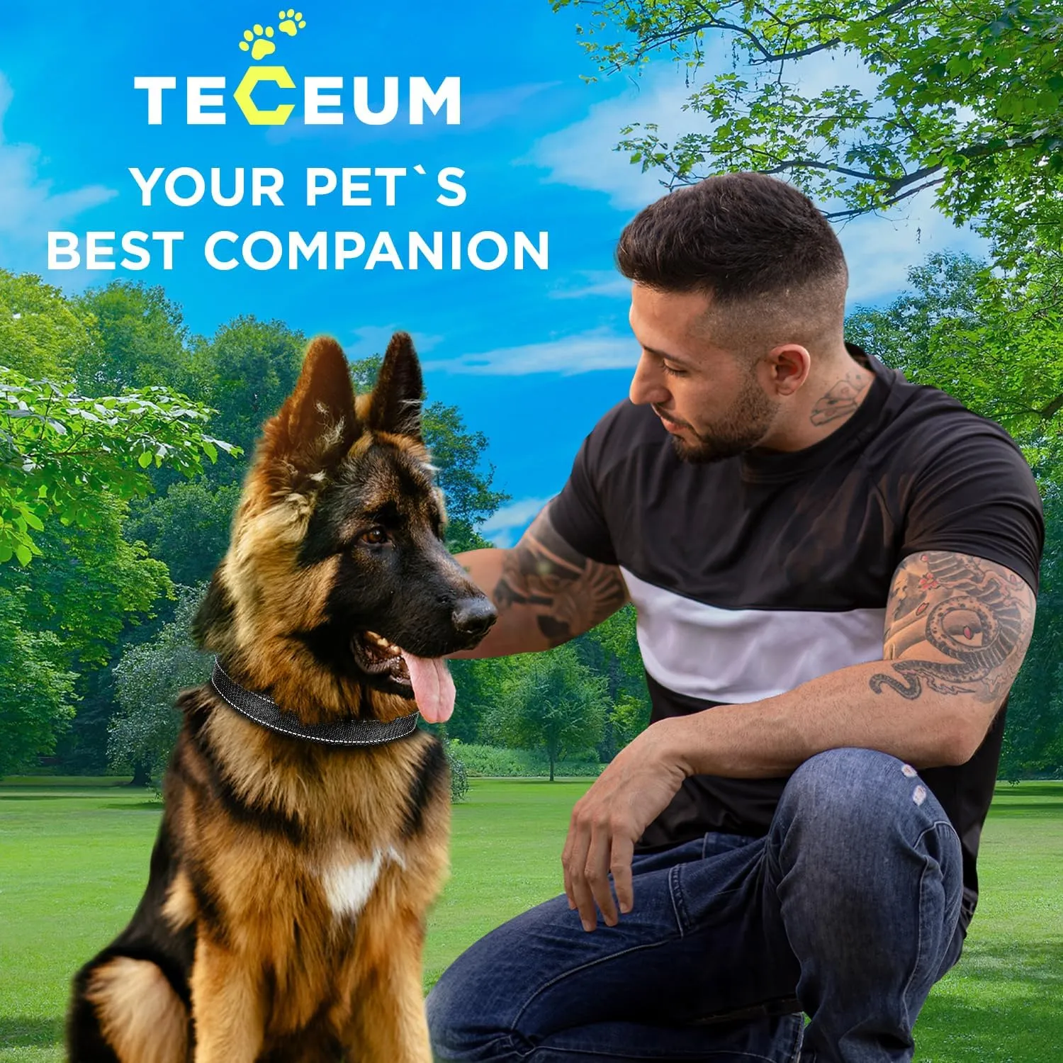 TECEUM Reflective Dog Collar  Black  M  Basic Nylon Pet Collar  Quick Release Buckle  Fits Small, Medium and Large Dogs, Puppies, Cats  ESA & Service Dog Options