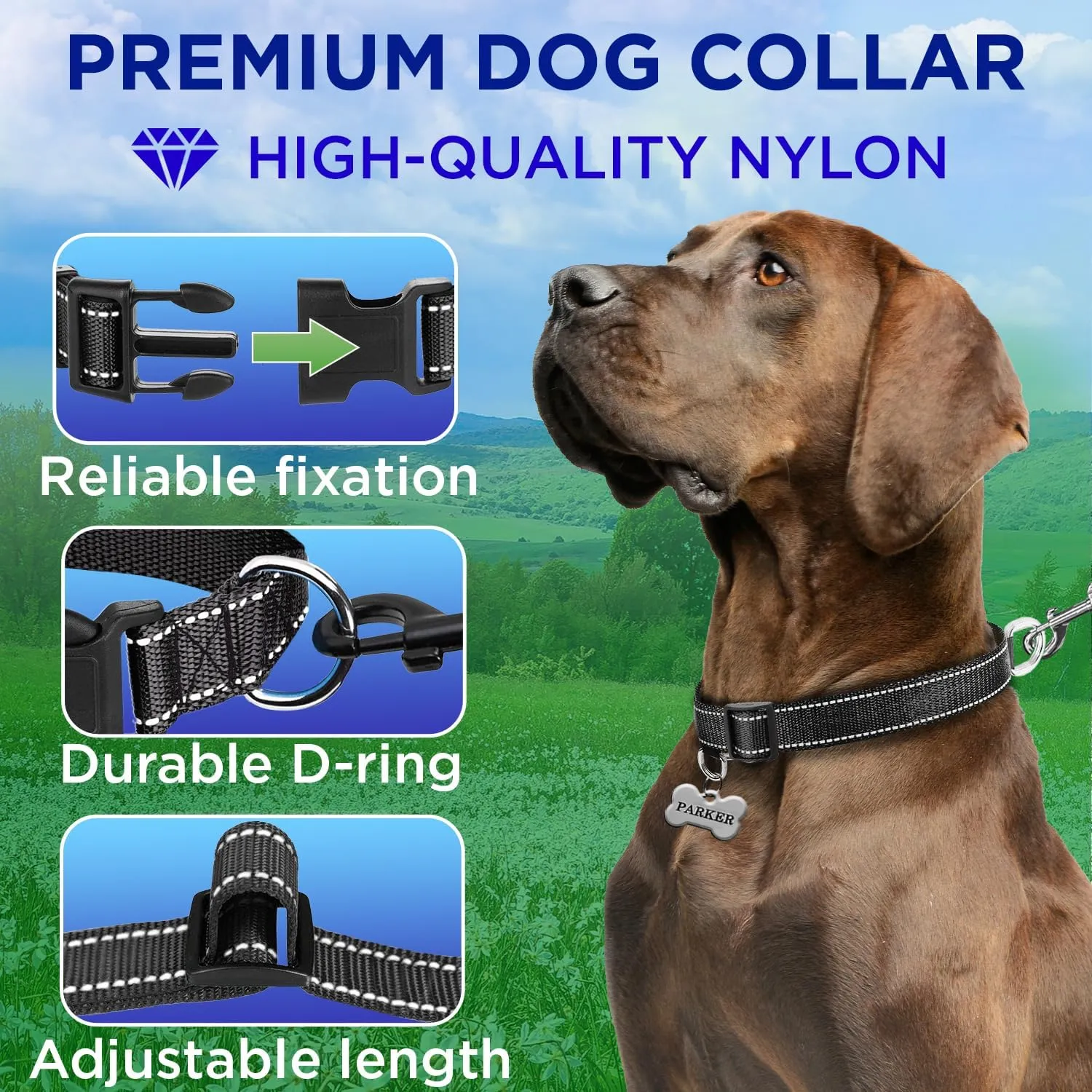 TECEUM Reflective Dog Collar  Black  M  Basic Nylon Pet Collar  Quick Release Buckle  Fits Small, Medium and Large Dogs, Puppies, Cats  ESA & Service Dog Options