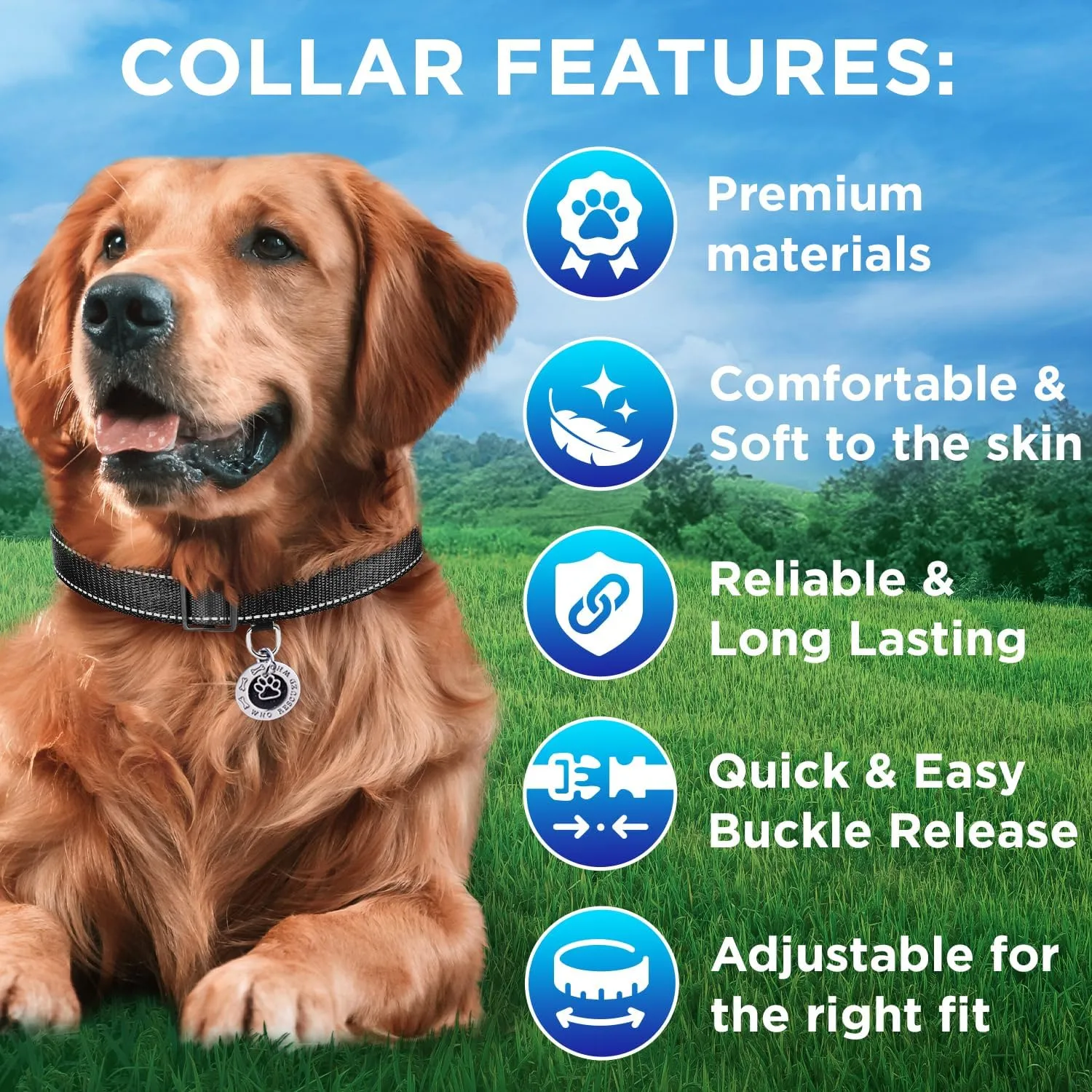 TECEUM Reflective Dog Collar  Black  M  Basic Nylon Pet Collar  Quick Release Buckle  Fits Small, Medium and Large Dogs, Puppies, Cats  ESA & Service Dog Options